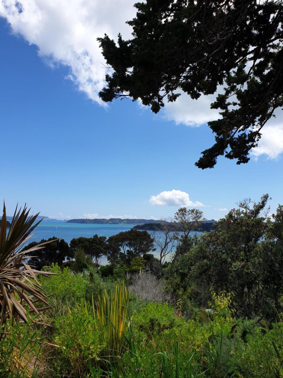 The Retreat Holiday House Paihia Exterior photo